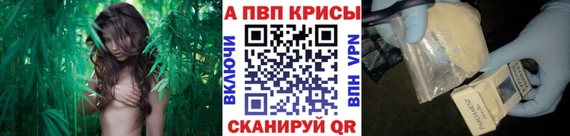 Магазины продажи наркотиков Кинель Альфа ПВП  Мефедрон  КОКАИН  Гашиш  Марихуана 