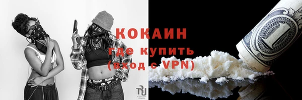 крисы Аркадак