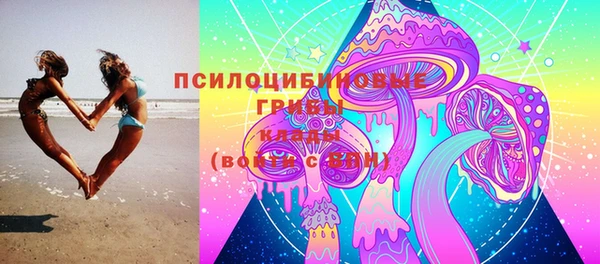 герыч Арсеньев