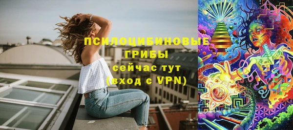 крисы Аркадак