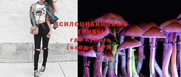 крисы Аркадак