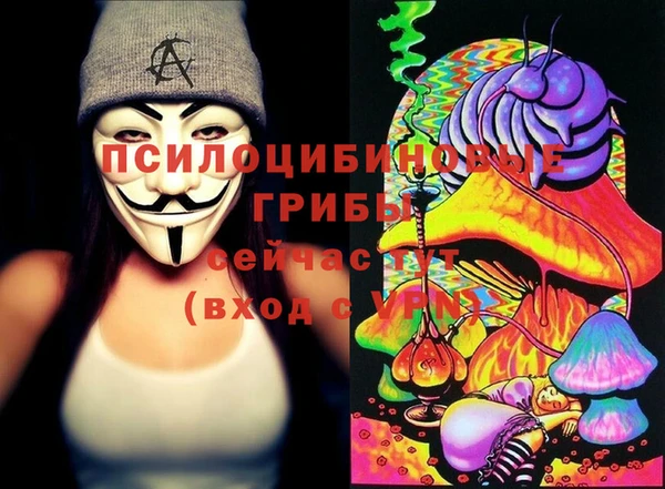 крисы Аркадак