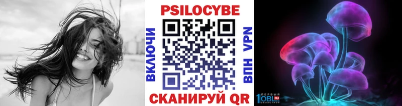 Псилоцибиновые грибы GOLDEN TEACHER  blacksprut ССЫЛКА  Кинель 